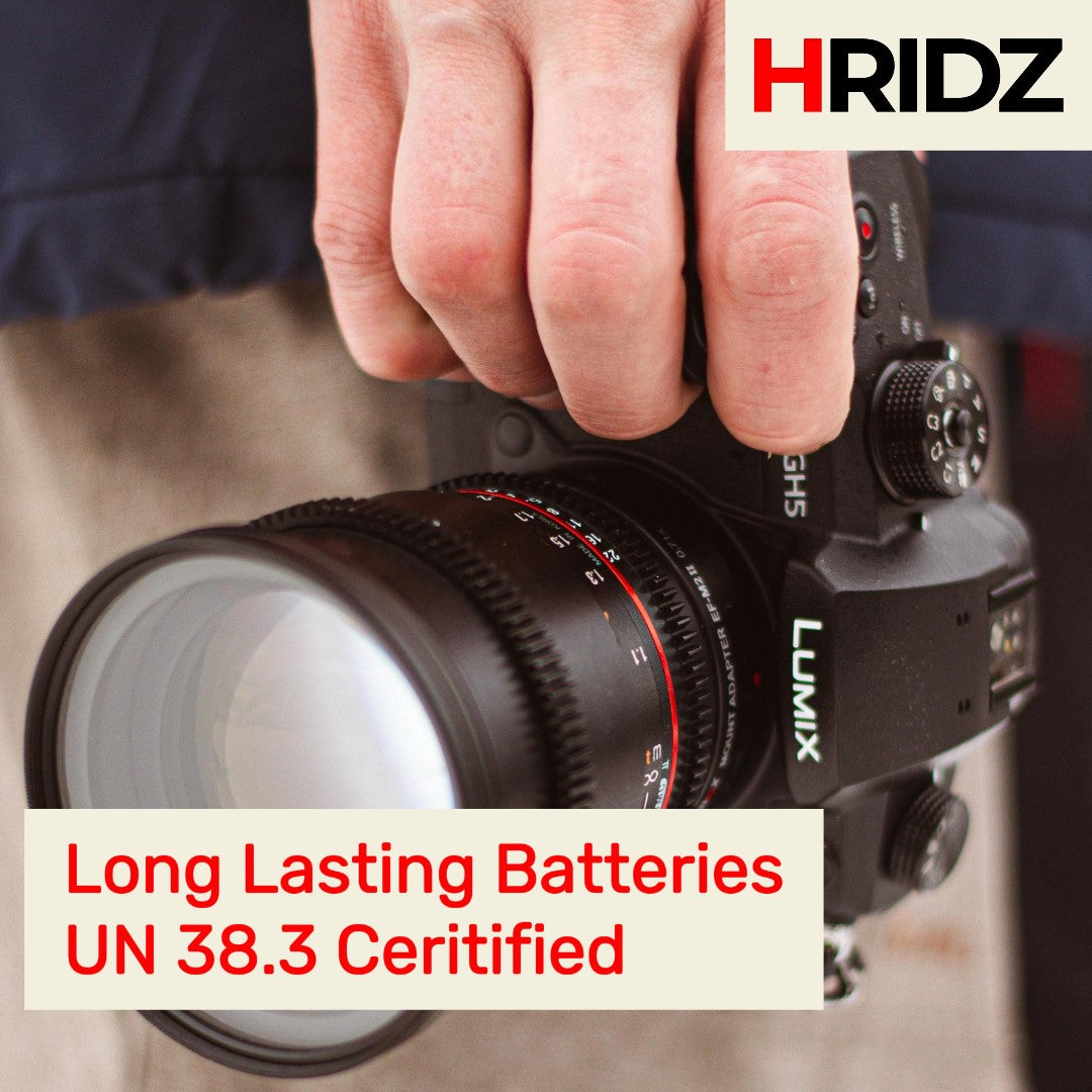 Hridz BLK22 Battery Charger for Panasonic DMW-BLK22 LUMIX DSLR - 1 charger only